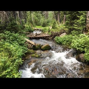 Meet your Posher, Whitnewhitney